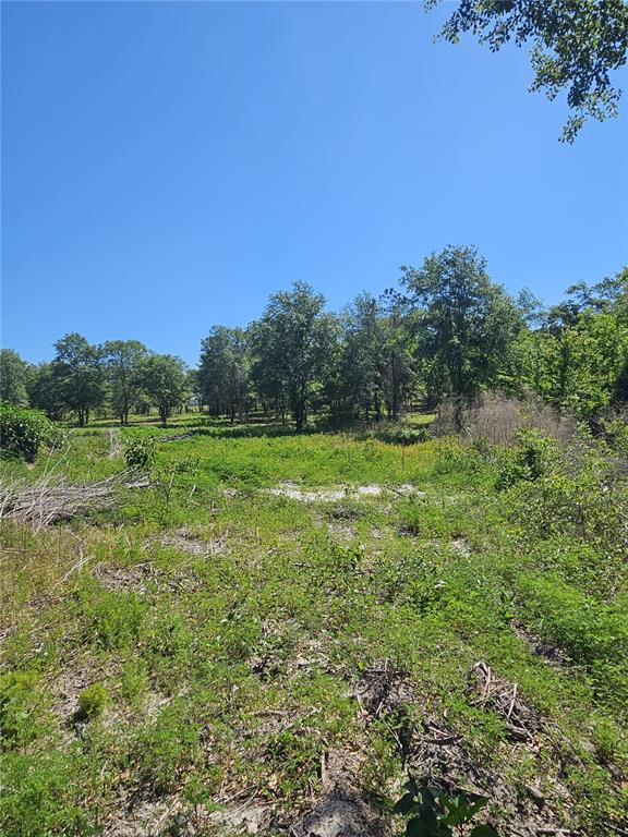 0 Southwest Mixson Road Lake City, FL 32024 - Photo 29 of 34 a view of a grassy field with trees in the background