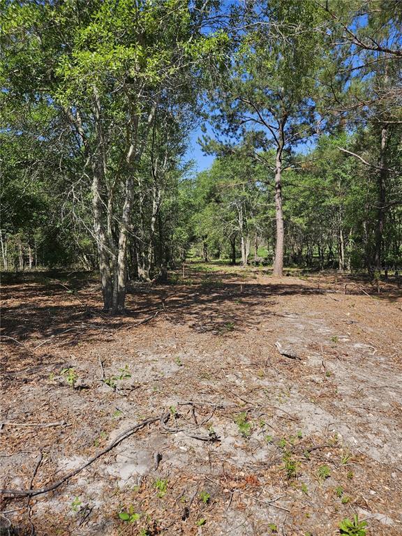 0 Southwest Mixson Road Lake City, FL 32024 - Photo 31 of 34 a view of outdoor space with trees