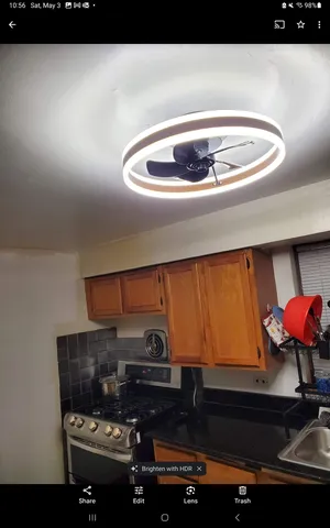 a picture of a room with furniture and a potted plant