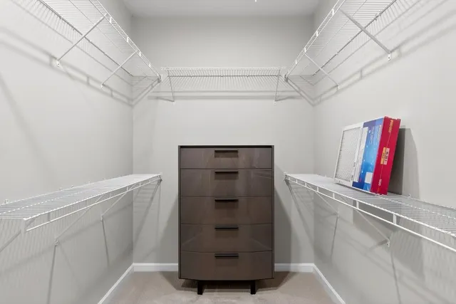 a view of storage and utility room with closet