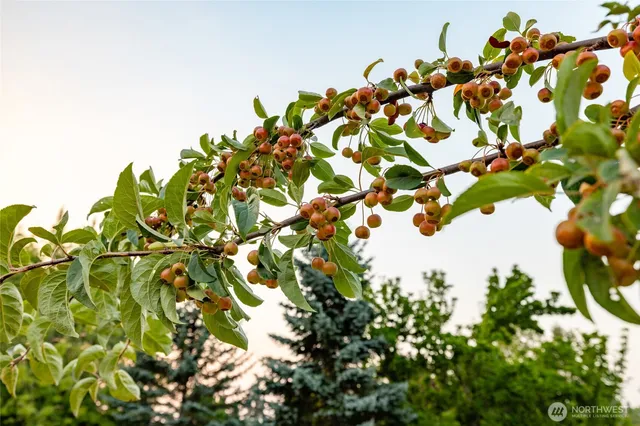 $1,055,000 | 11334 Farm To Market Road, Mount Vernon, WA 98273