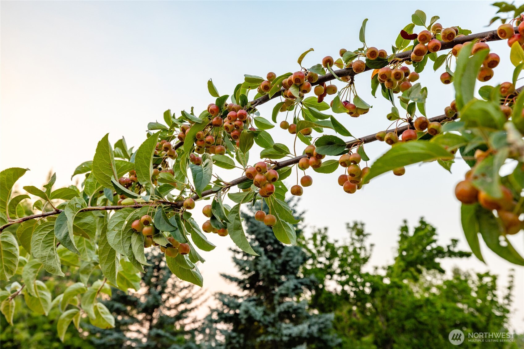 11334 Farm To Market Road Mount Vernon, WA 98273 - Photo 34 of 40
