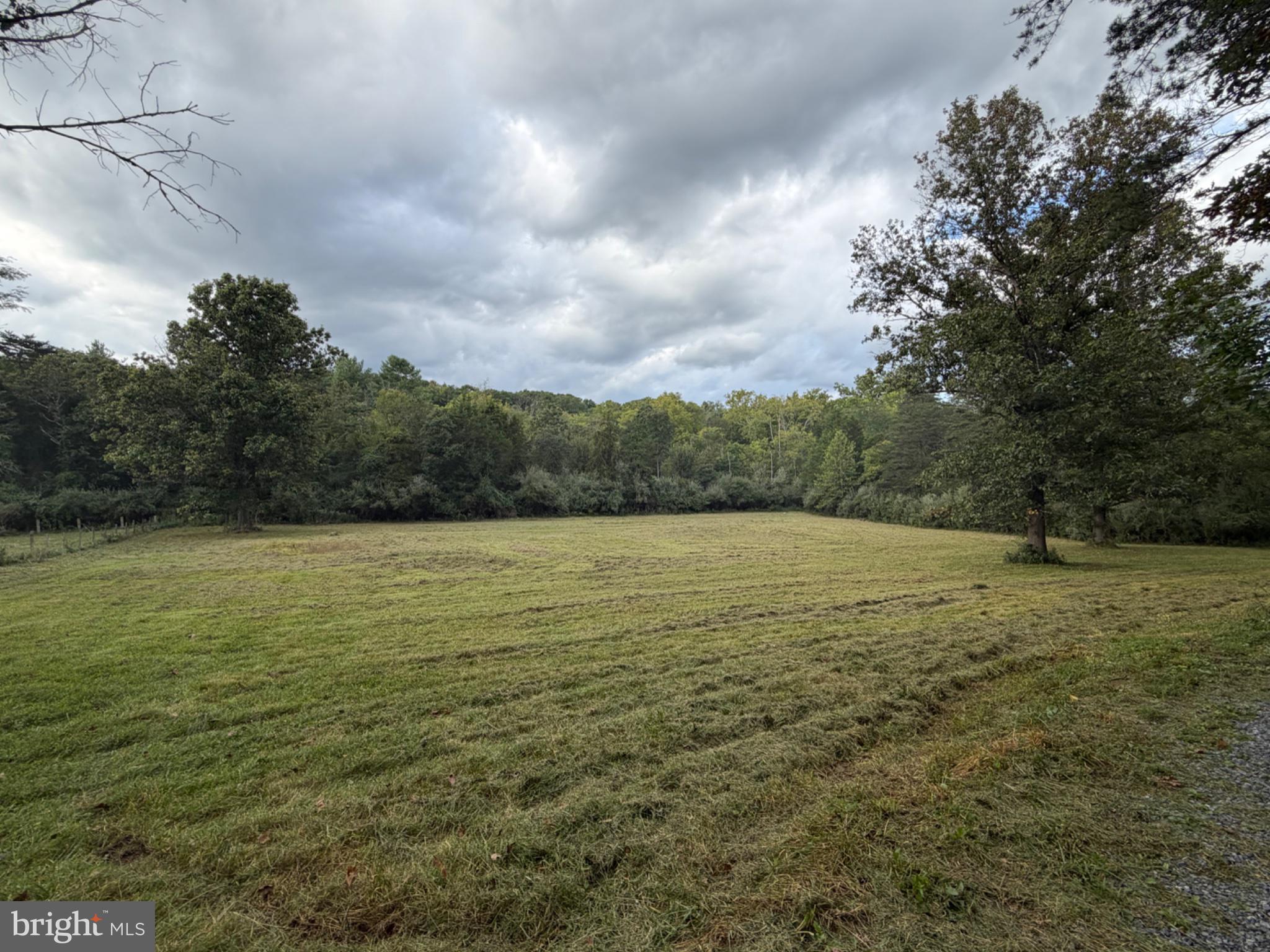 2983 Old Winchester Road Boyce, VA 22620 - Photo 69 of 98 Gently rolling land surrounded by trees and shade