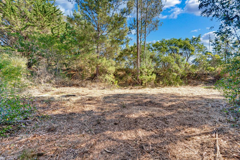 0 Hawk Haven Road Watsonville, CA 95076 - Photo 12 of 34 a view of a yard with large trees