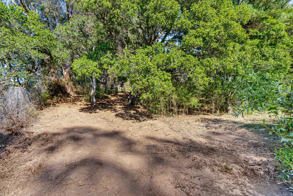 0 Hawk Haven Road Watsonville, CA 95076 - Photo 13 of 34 a view of a yard with a tree