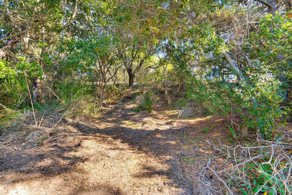 0 Hawk Haven Road Watsonville, CA 95076 - Photo 15 of 34 a view of a yard with plants and trees