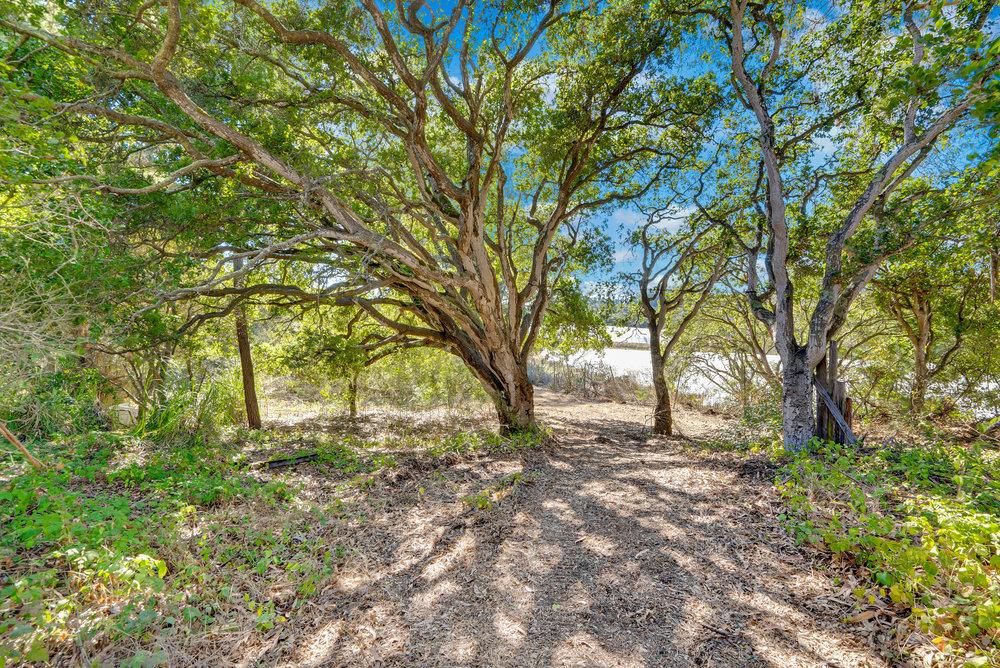 0 Hawk Haven Road Watsonville, CA 95076 - Photo 18 of 34 a backyard of a house with large trees