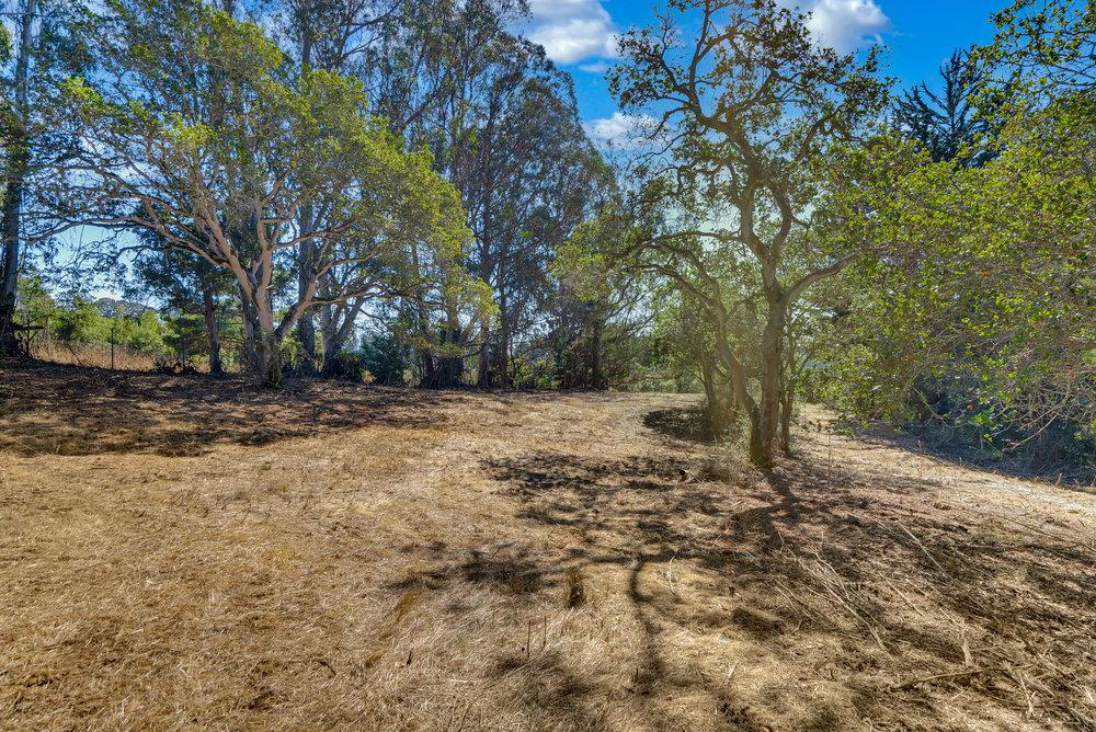 0 Hawk Haven Road Watsonville, CA 95076 - Photo 2 of 34 a view of a yard with a tree