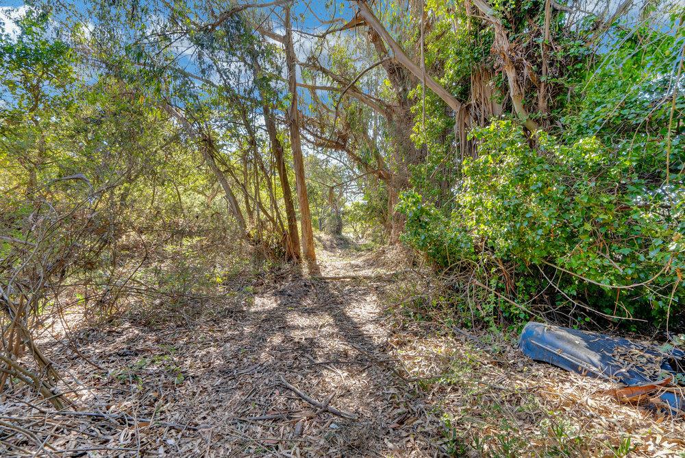 0 Hawk Haven Road Watsonville, CA 95076 - Photo 21 of 34 a view of outdoor space and yard