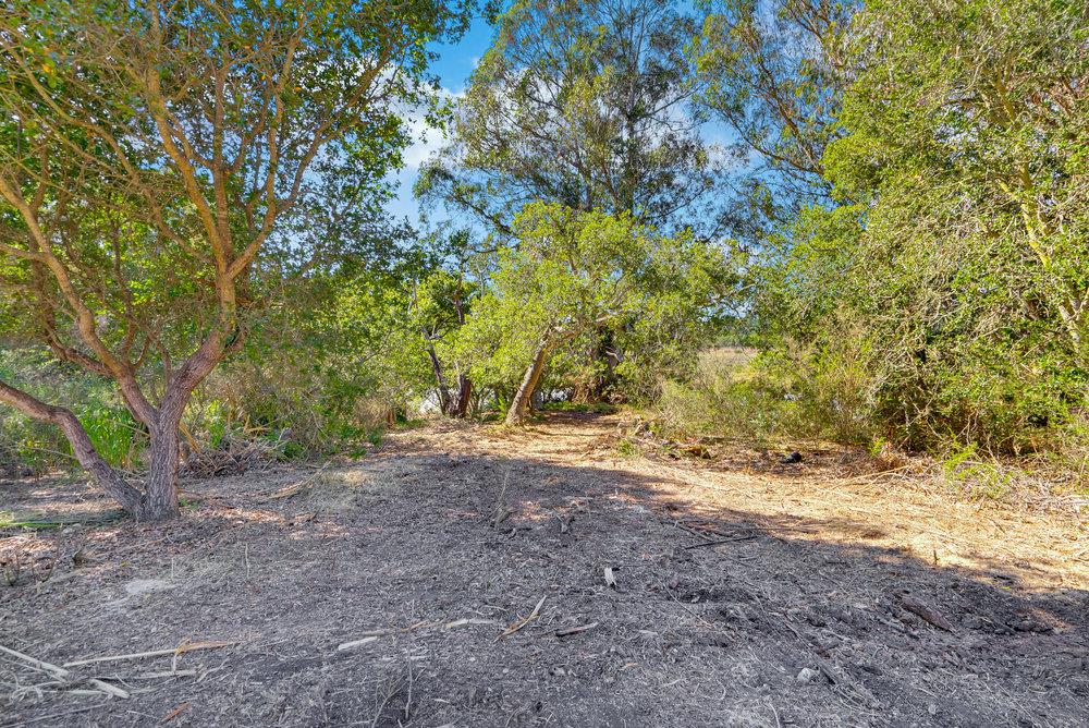 0 Hawk Haven Road Watsonville, CA 95076 - Photo 22 of 34 a view of a yard with a tree