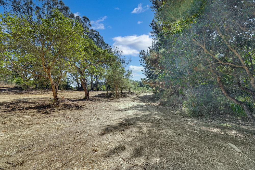 0 Hawk Haven Road Watsonville, CA 95076 - Photo 23 of 34 a view of a forest with trees in the background