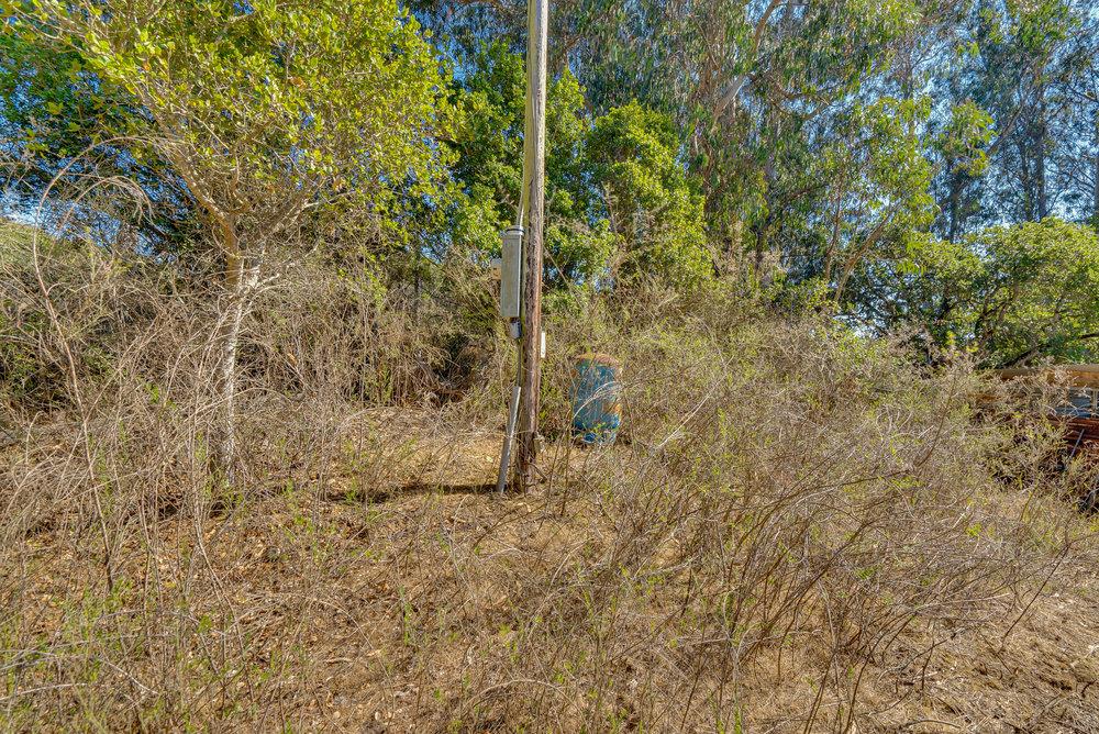 0 Hawk Haven Road Watsonville, CA 95076 - Photo 24 of 34 a view of a yard with a tree