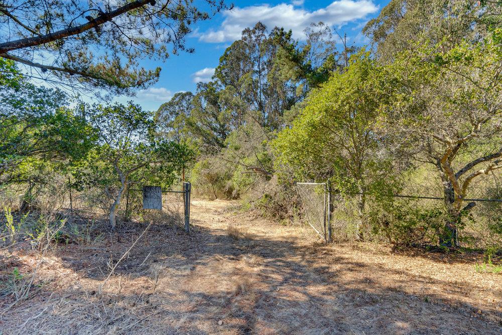 0 Hawk Haven Road Watsonville, CA 95076 - Photo 26 of 34 a view of a yard with plants and trees