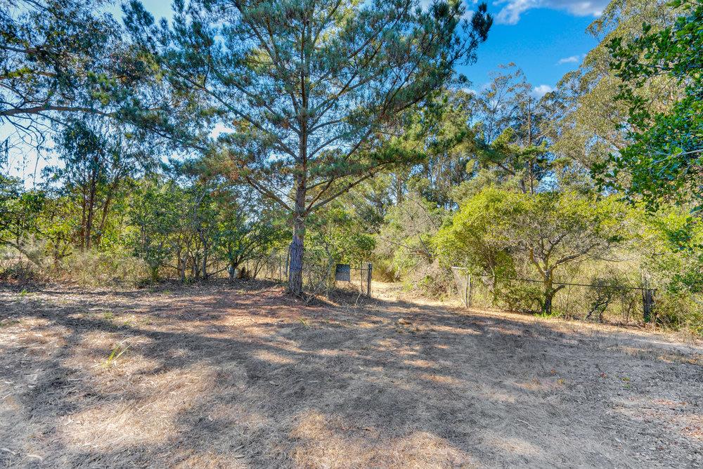 0 Hawk Haven Road Watsonville, CA 95076 - Photo 27 of 34 a view of outdoor space and trees
