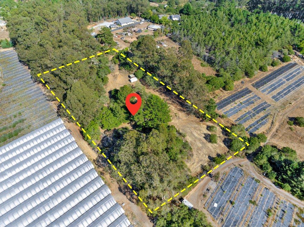 0 Hawk Haven Road Watsonville, CA 95076 - Photo 28 of 34 a view of a garden with flowers