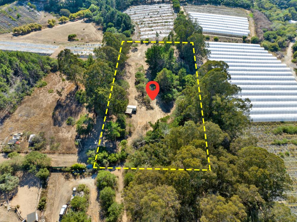 0 Hawk Haven Road Watsonville, CA 95076 - Photo 29 of 34 an aerial view of residential house with outdoor space and trees all around