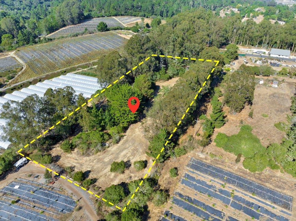 0 Hawk Haven Road Watsonville, CA 95076 - Photo 30 of 34 a view of a yard with an outdoor space