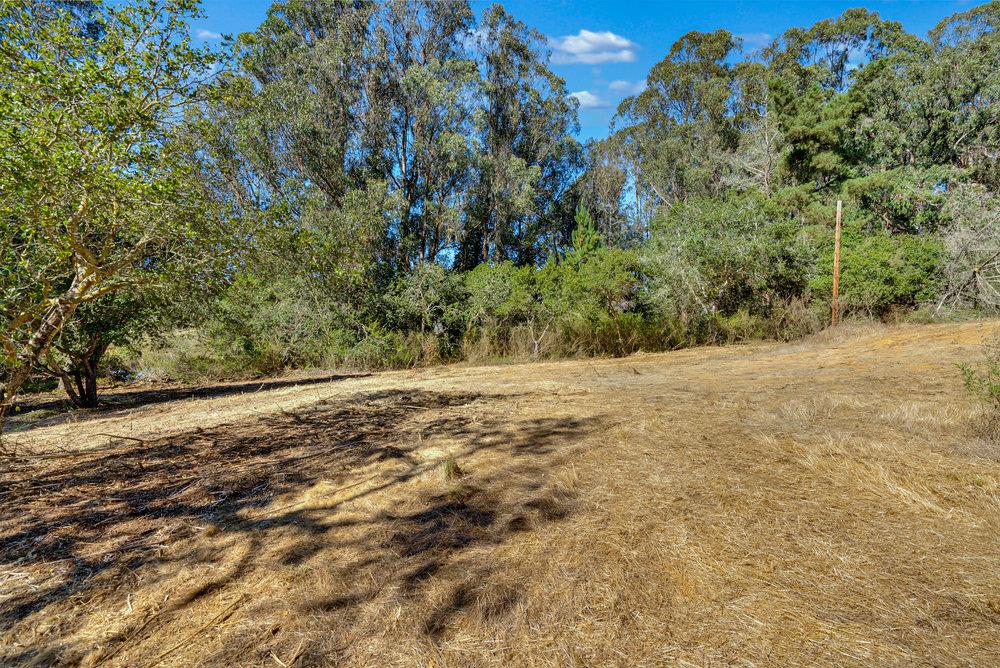 0 Hawk Haven Road Watsonville, CA 95076 - Photo 3 of 34 a view of dirt yard