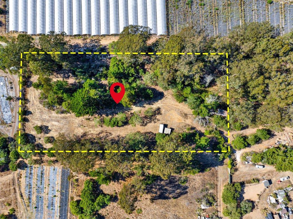 0 Hawk Haven Road Watsonville, CA 95076 - Photo 33 of 34 a picture of flowers