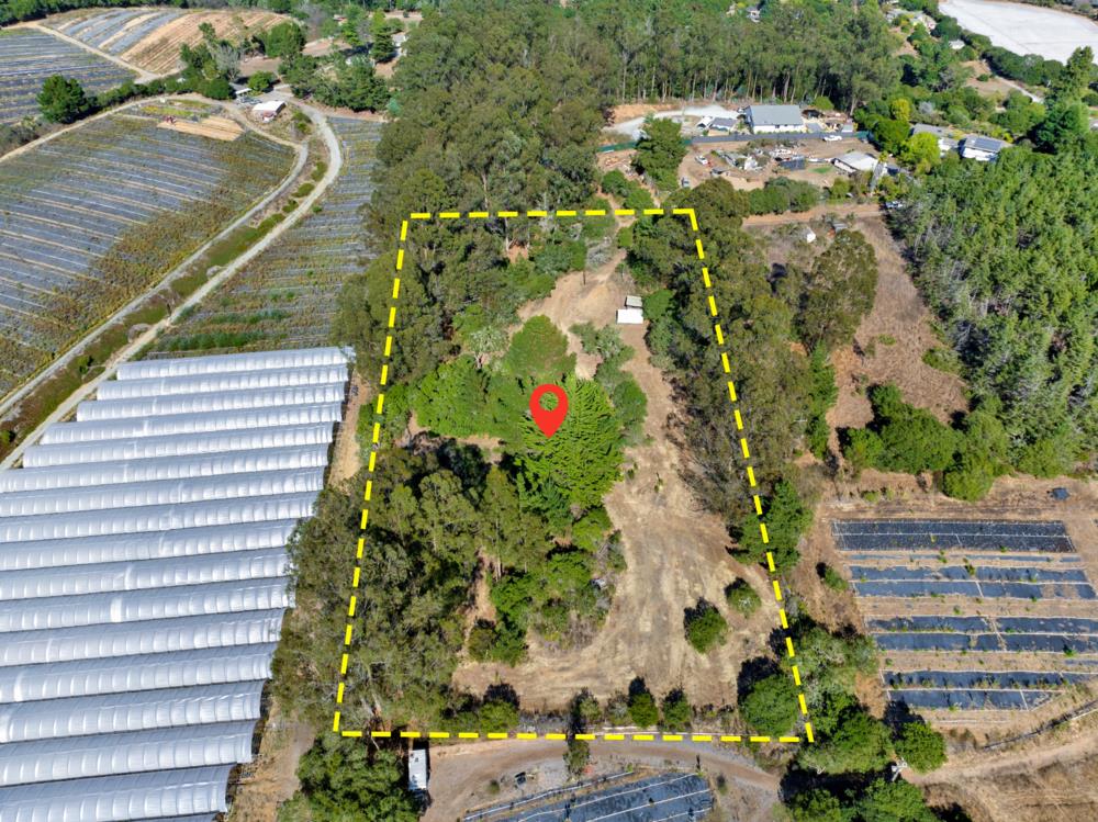 0 Hawk Haven Road Watsonville, CA 95076 - Photo 34 of 34 a picture of flowers