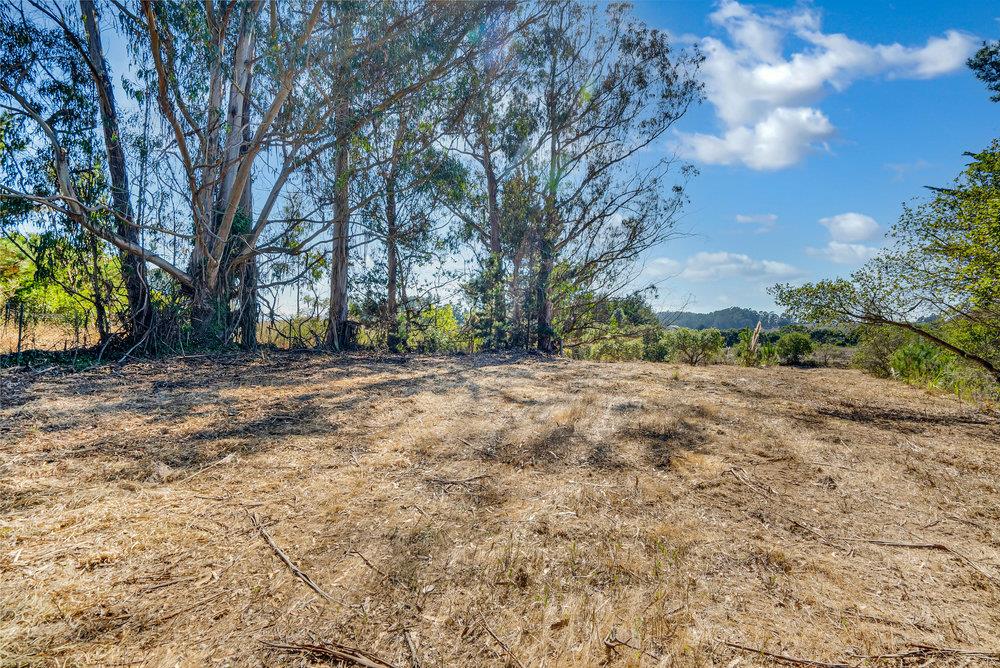 0 Hawk Haven Road Watsonville, CA 95076 - Photo 4 of 34