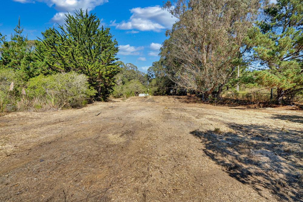 0 Hawk Haven Road Watsonville, CA 95076 - Photo 8 of 34 a view of empty space with large trees