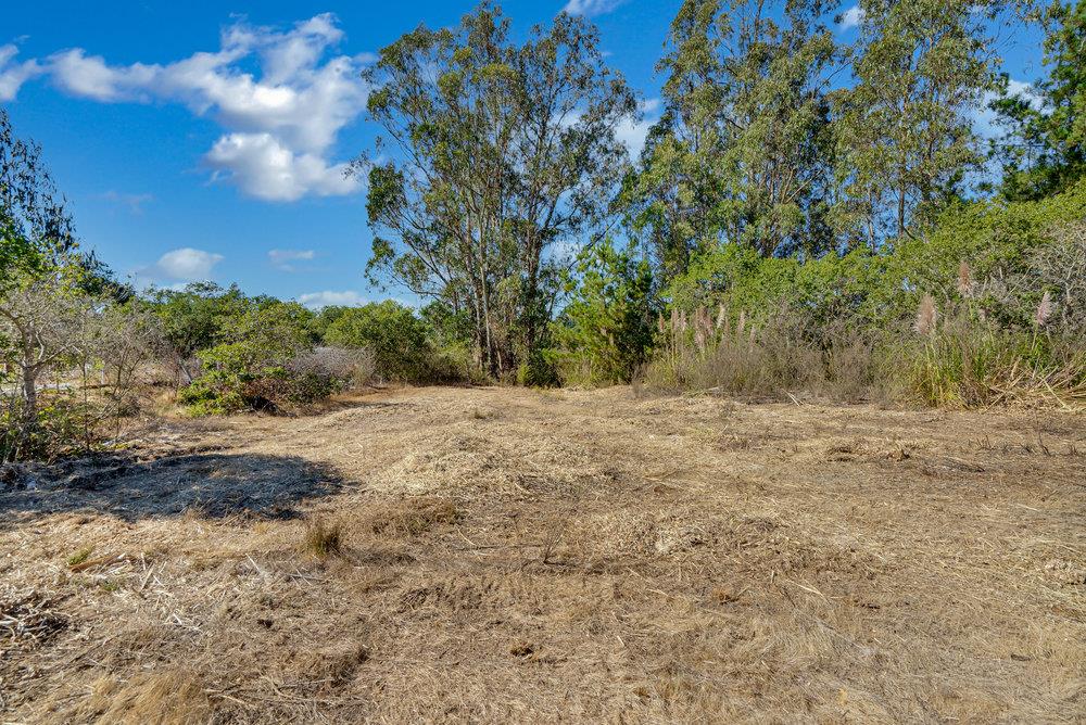 0 Hawk Haven Road Watsonville, CA 95076 - Photo 9 of 34 a view of dirt yard with a tree