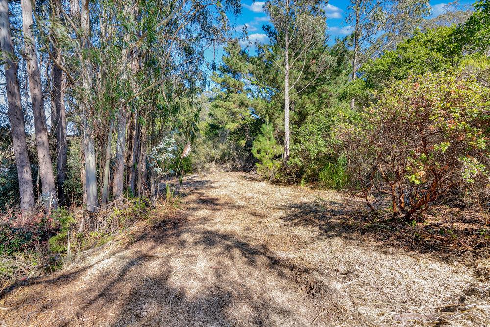 0 Hawk Haven Road Watsonville, CA 95076 - Photo 10 of 34 a view of backyard with green space