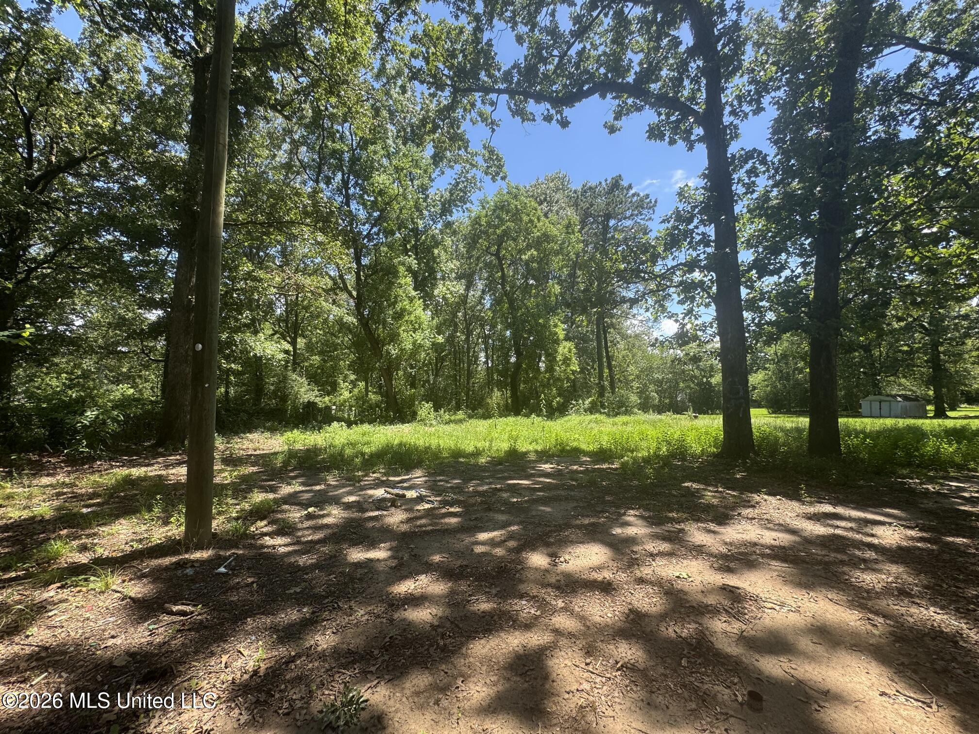 721 McCluer Road Jackson, MS 39212 - Photo 19 of 20 IMG_8643