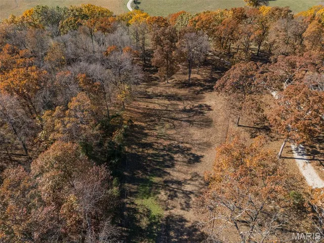 $1,200,000 | 20610 Colony Church Road, Farmington, MO 63640