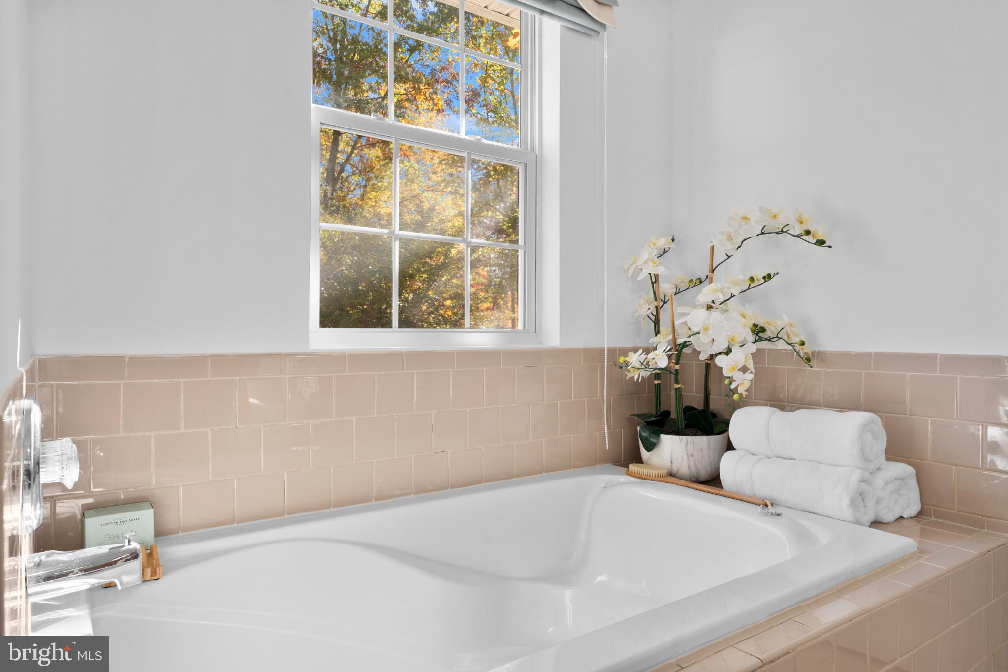 214 Monument Road Locust Grove, VA 22508 - Photo 30 of 48 Serene bathroom with natural light and blooms.