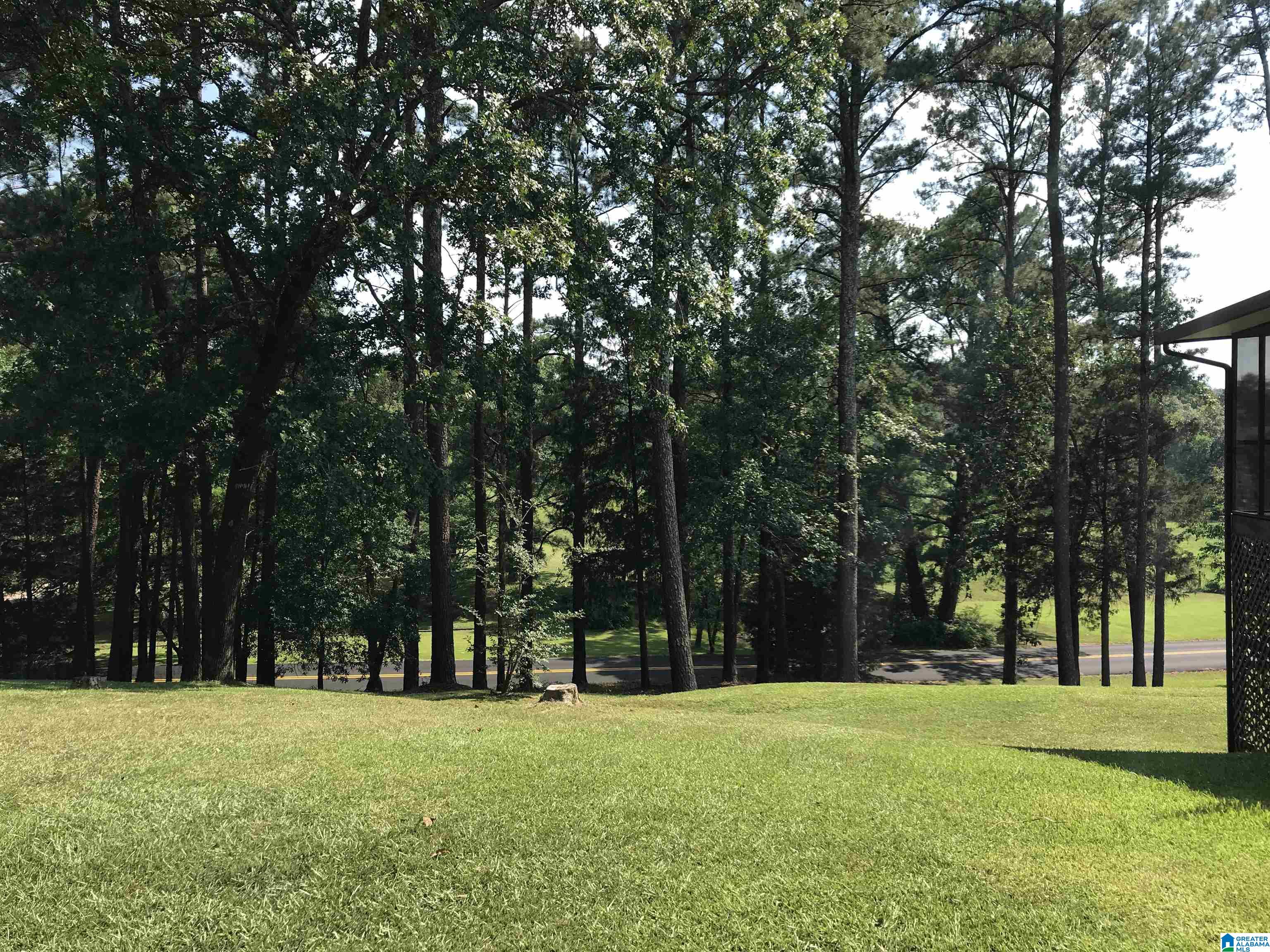 2880 Self Creek Road Warrior, AL 35180 - Photo 1 of 40