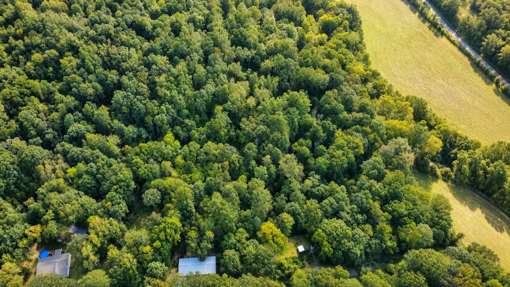 1185 Raney Hill Road Dickson, TN 37055 - Photo 17 of 18 Gallery Image 17