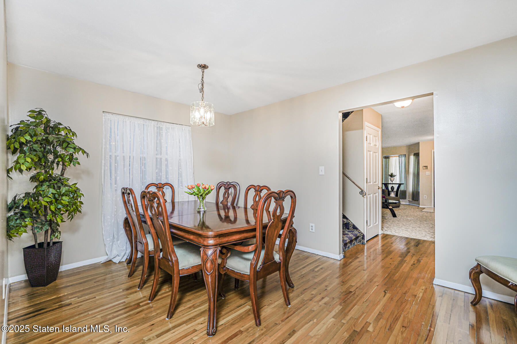 342 Chelsea Street Staten Island, NY 10307 - Photo 7 of 35 a dining room with furniture and potted plant
