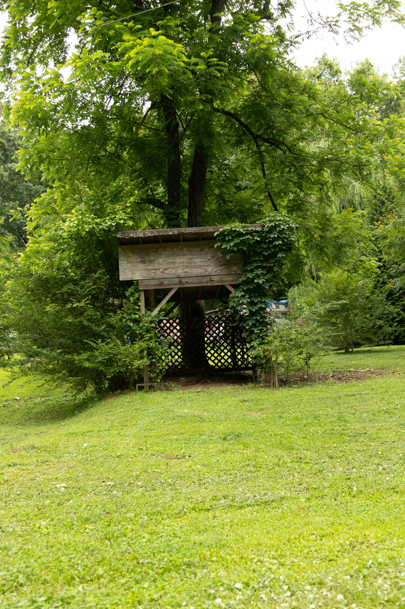 2865 Sardis Ridge Road Parsons, TN 38363 - Photo 4 of 21 Gallery Image 4