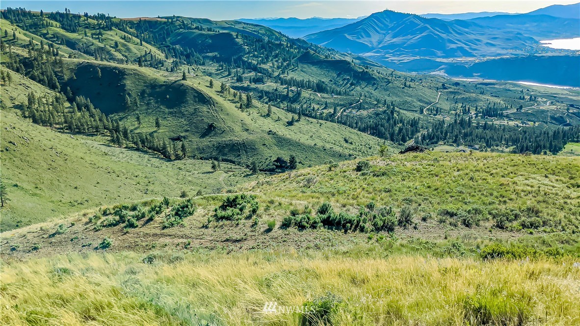 12 X Road Orondo, WA 98843 - Photo 14 of 40 Gallery Image 14