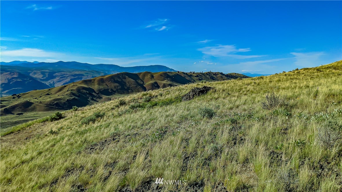 12 X Road Orondo, WA 98843 - Photo 4 of 40 Gallery Image 4