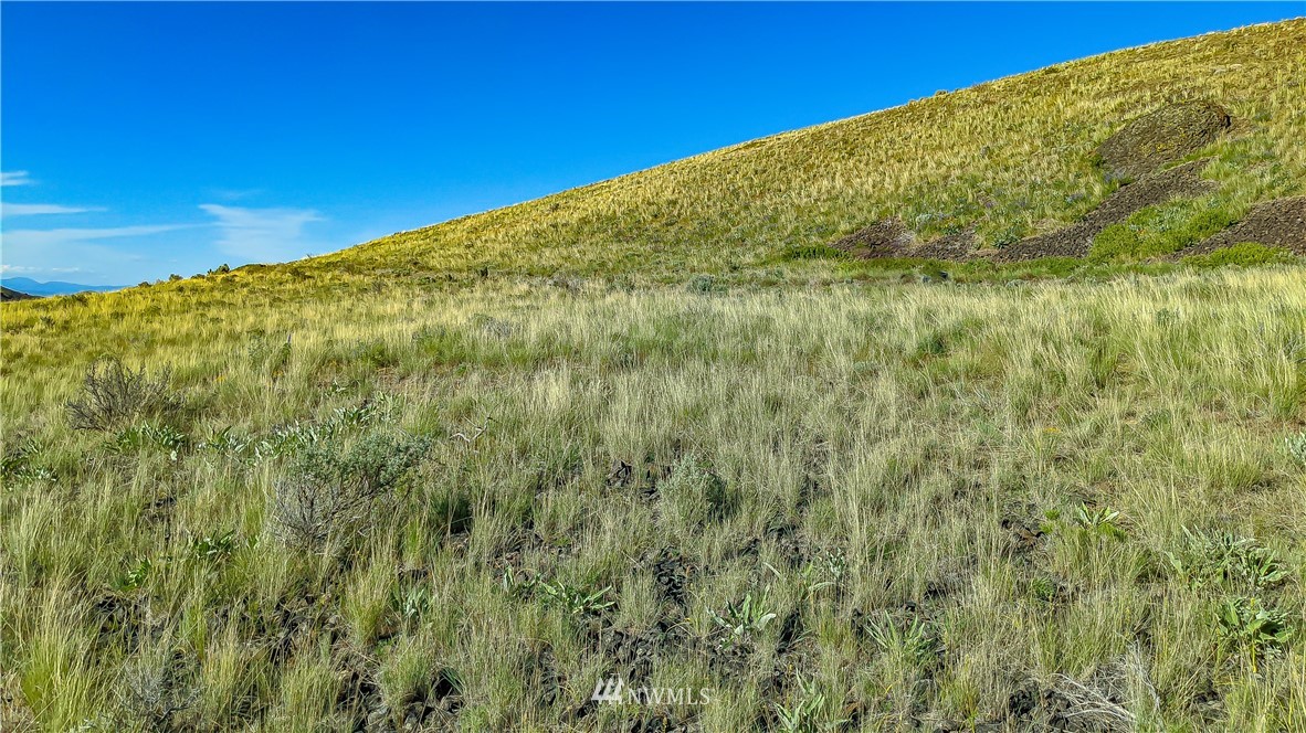 12 X Road Orondo, WA 98843 - Photo 5 of 40 Gallery Image 5