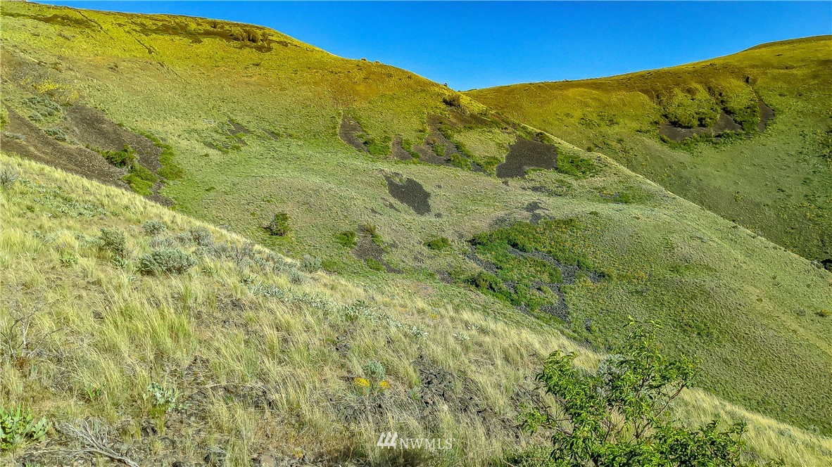12 X Road Orondo, WA 98843 - Photo 8 of 40 Gallery Image 8