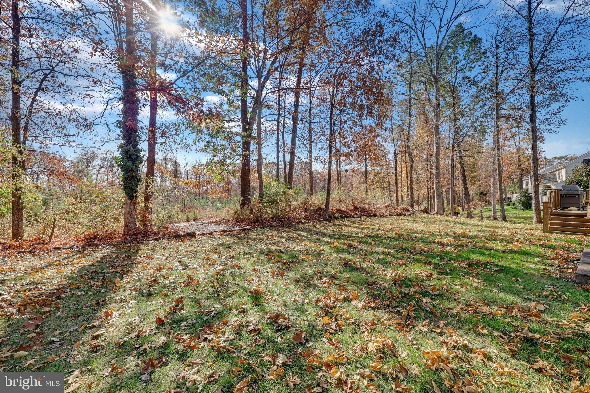 14257 Clubhouse Road Gainesville, VA 20155 - Photo 62 of 69 Rear yard.