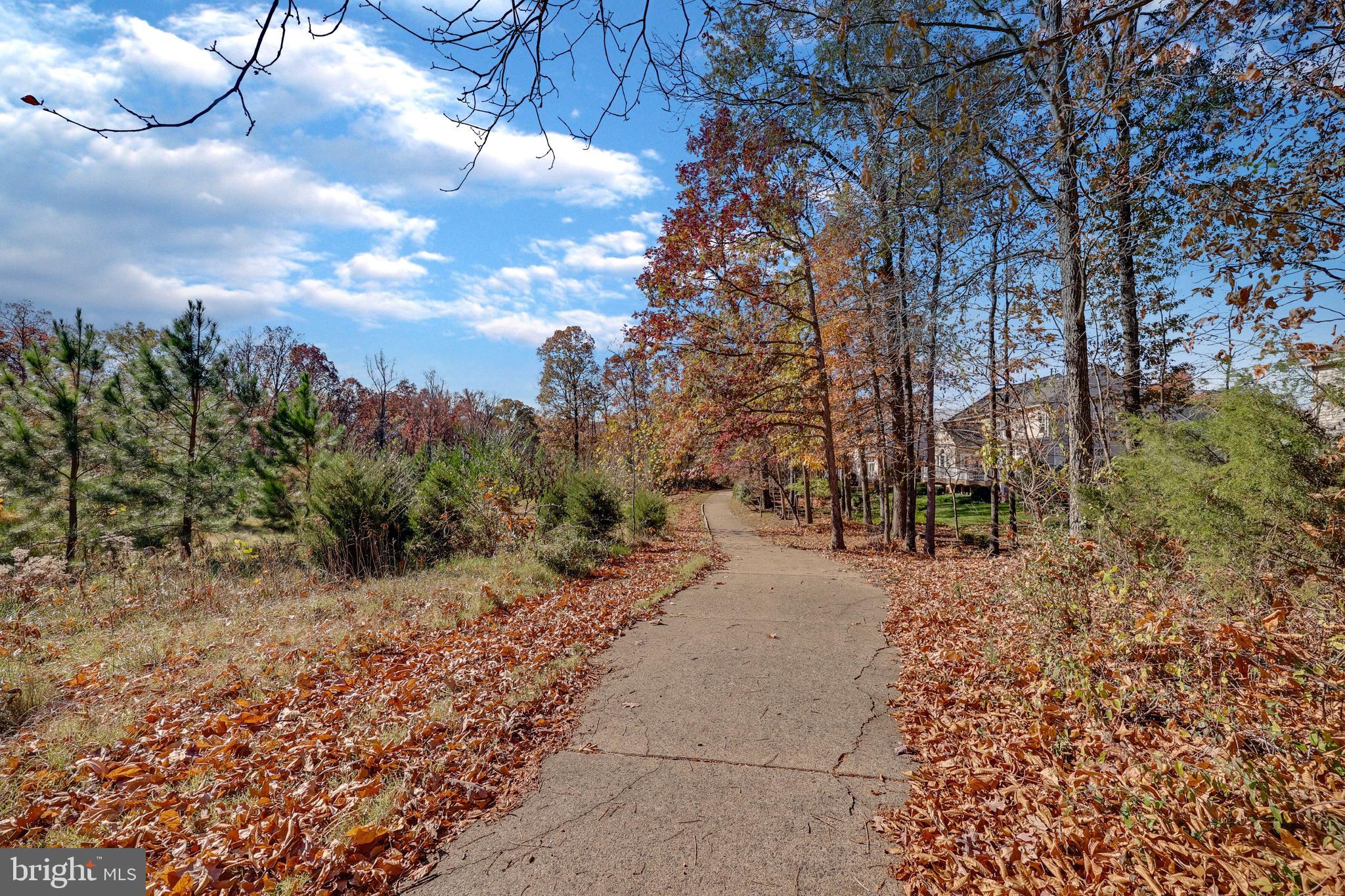 14257 Clubhouse Road Gainesville, VA 20155 - Photo 63 of 69 Rear yard access to walking trails.
