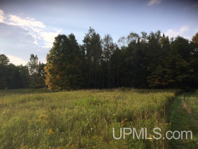 E4049 Trout Lake Road Chatham, MI 49816 - Photo 10 of 18 Gallery Image 10