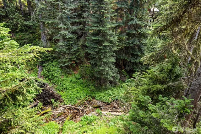 $3,995,000 | 101 Gold Hill Road East, Enumclaw, WA 98022