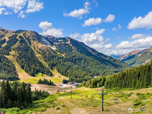 $3,995,000 | 101 Gold Hill Road East, Enumclaw, WA 98022