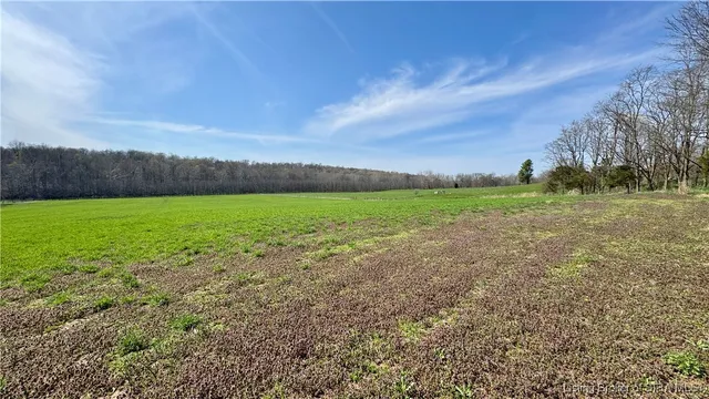 $895,000 | Off S Side South Buffalo Trace, Pekin, IN 47165