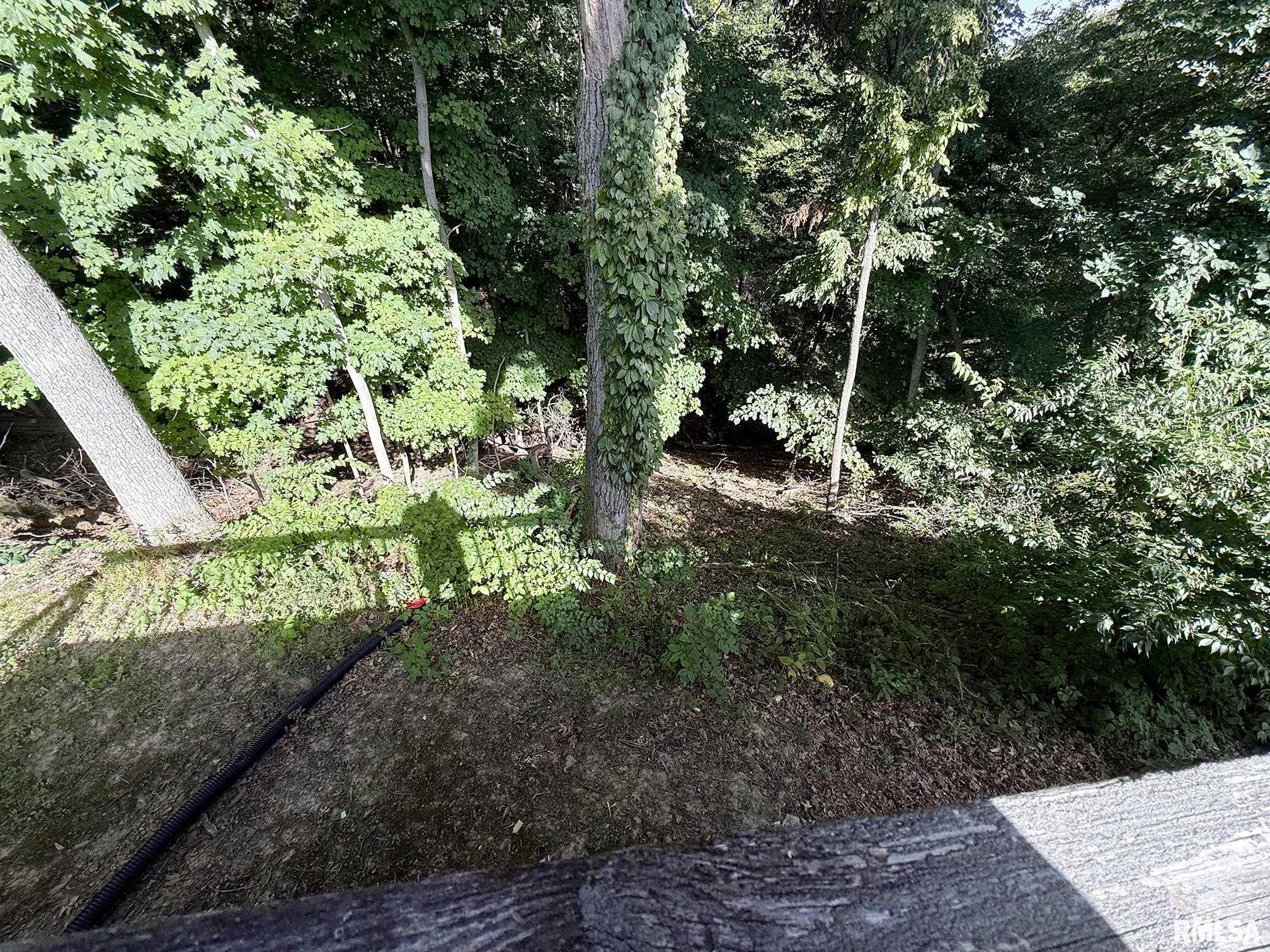 1013 West Wonderview Drive Dunlap, IL 61525 - Photo 30 of 32