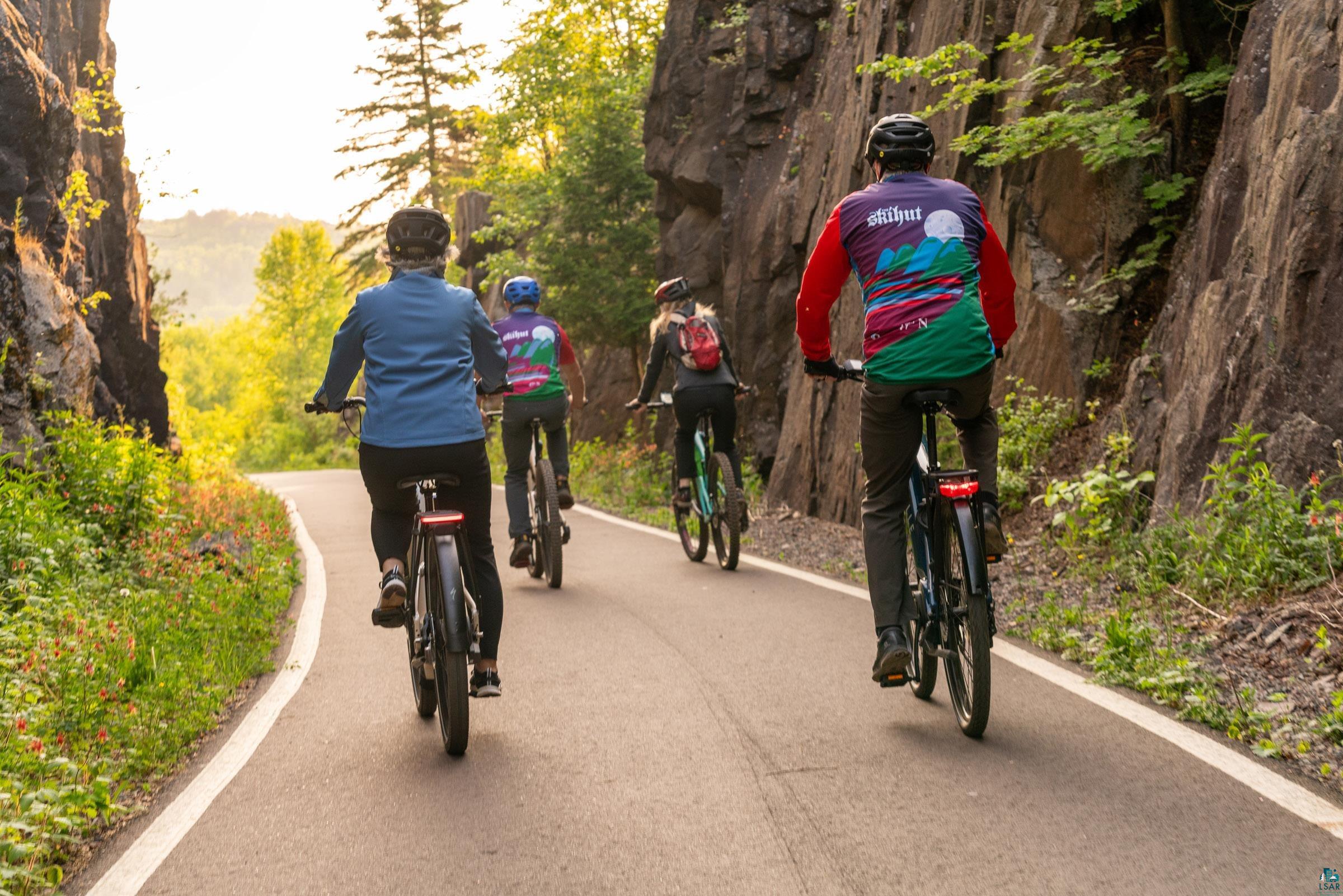 125 Goldys Way Duluth, MN 55808 - Photo 12 of 14