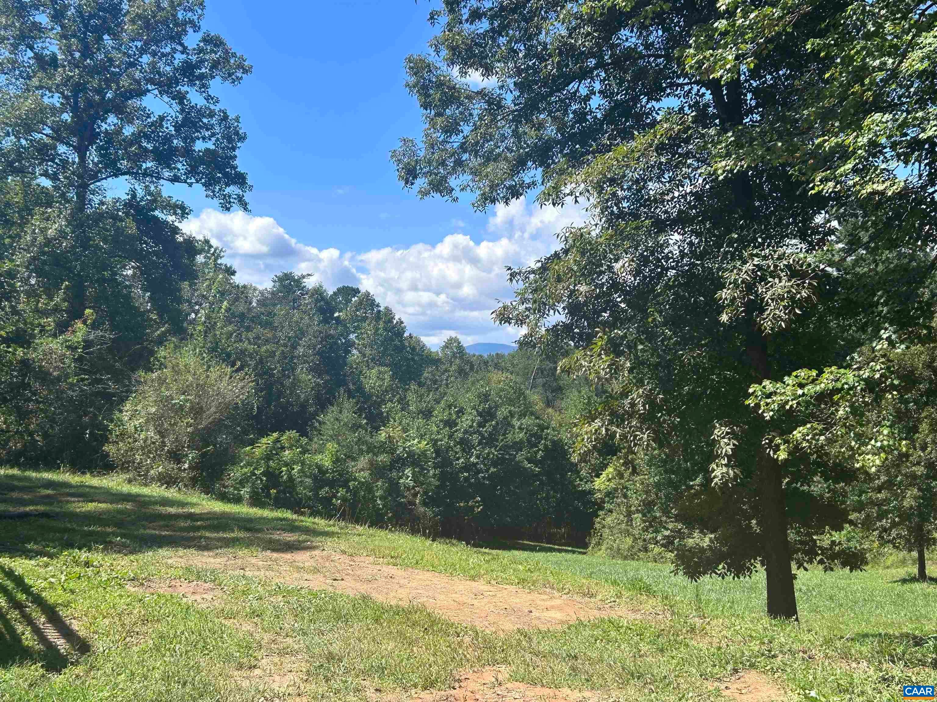 301 Dulaney Mountain Road Madison, VA 22719 - Photo 20 of 28 Gallery Image 20
