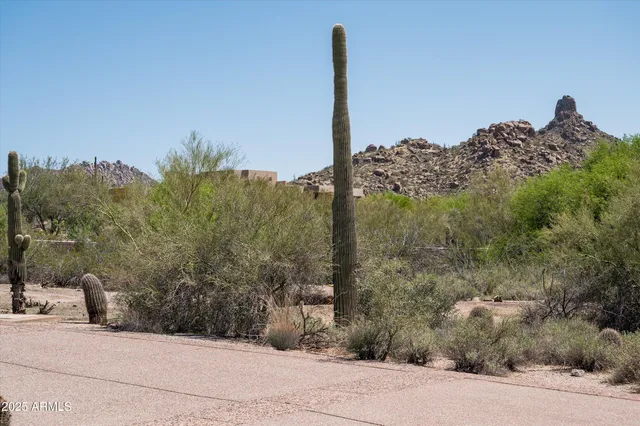 a view of a tree next to a yard