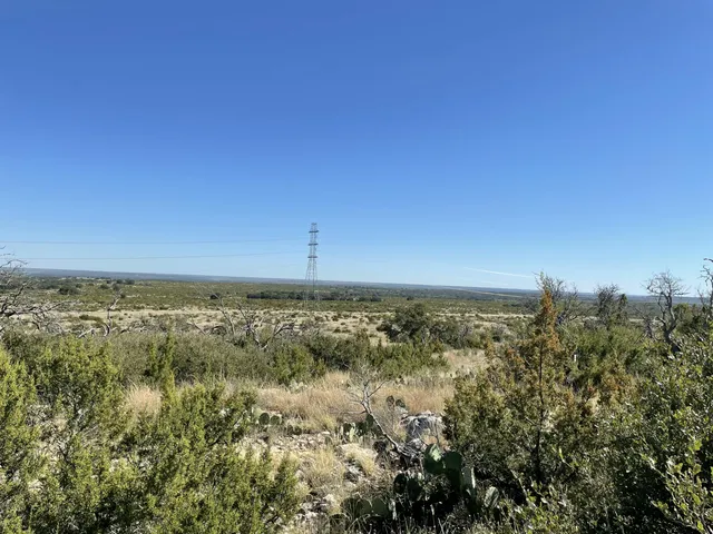 a view of a dirt road with trees in the background